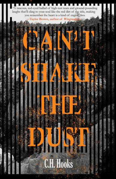 Can't Shake the Dust