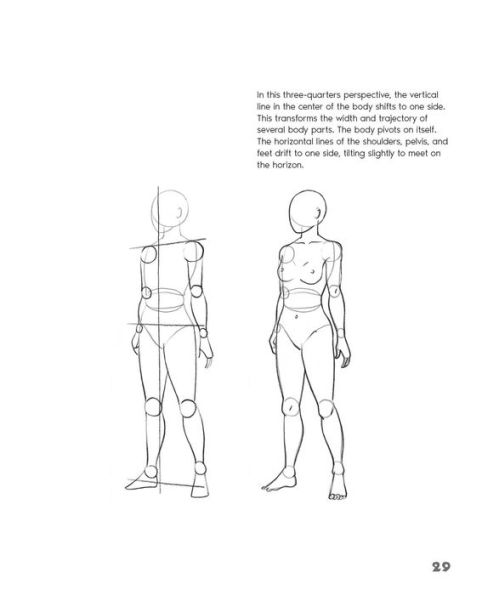 A Guide to How to Draw a Human Figure - Emily's Notebook