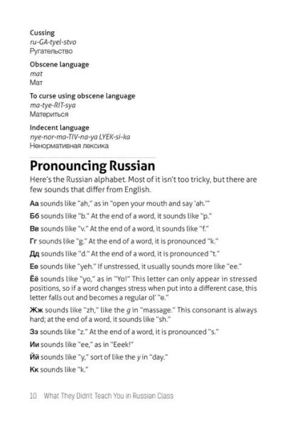 What They Didn't Teach You Russian Class: Slang Phrases for the Cafe, Club, Bar, Bedroom, Ball Game and More