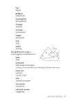 Alternative view 2 of What They Didn't Teach You in Italian Class: Slang Phrases for the Cafe, Club, Bar, Bedroom, Ball Game and More