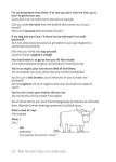 Alternative view 8 of What They Didn't Teach You in Italian Class: Slang Phrases for the Cafe, Club, Bar, Bedroom, Ball Game and More