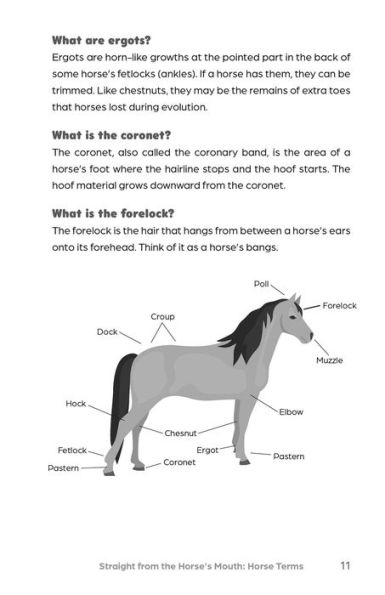 the Big Book of Horse Trivia for Kids: Fun Facts and Stories about Ponies, Horses, Equestrian Lifestyle