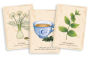 Alternative view 3 of The Herbal Tea Magic for the Modern Witch Oracle Deck: A 40-Card Deck and Guidebook for Creating Tea Readings, Herbal Spells, and Magical Rituals
