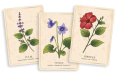 Alternative view 4 of The Herbal Tea Magic for the Modern Witch Oracle Deck: A 40-Card Deck and Guidebook for Creating Tea Readings, Herbal Spells, and Magical Rituals