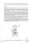 Alternative view 5 of Spell Jars for the Modern Witch: A Practical Guide to Crafting Spell Jars for Abundance, Luck, Protection, and More