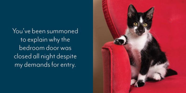 Let Me Knock That Off the Counter for You: And More Everyday Sass from Cats
