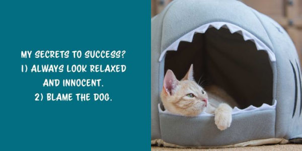 Let Me Knock That Off the Counter for You: And More Everyday Sass from Cats
