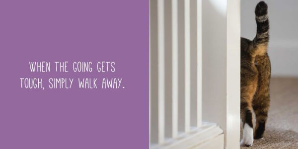 Let Me Knock That Off the Counter for You: And More Everyday Sass from Cats