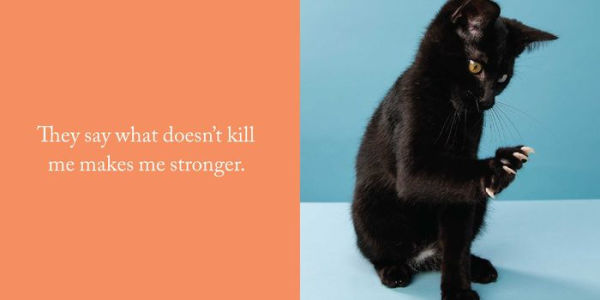 Let Me Knock That Off the Counter for You: And More Everyday Sass from Cats