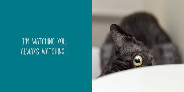 Let Me Knock That Off the Counter for You: And More Everyday Sass from Cats