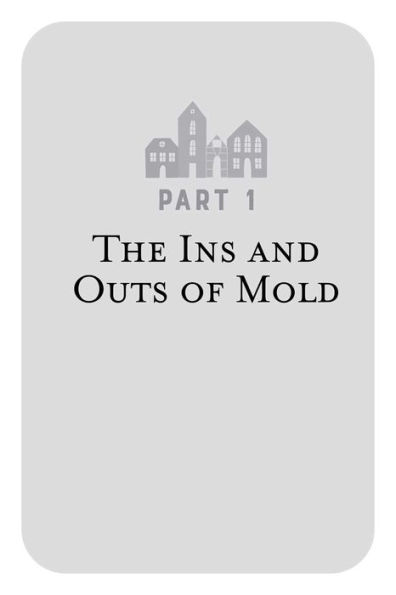 The Toxic Mold Solution: A Comprehensive Guide to Healing Your Home and Body From Mold: Physical Symptoms Tests Everything Between
