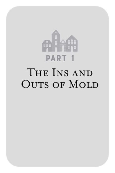 The Toxic Mold Solution: A Comprehensive Guide to Healing Your Home and Body from Mold: From Physical Symptoms to Tests and Everything in Between