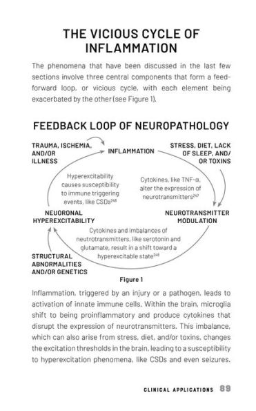 The Vagus-Immune Connection: Harness Your Vagus Nerve to Manage Stress, Prevent Immune Dysregulation, and Avoid Chronic Disease