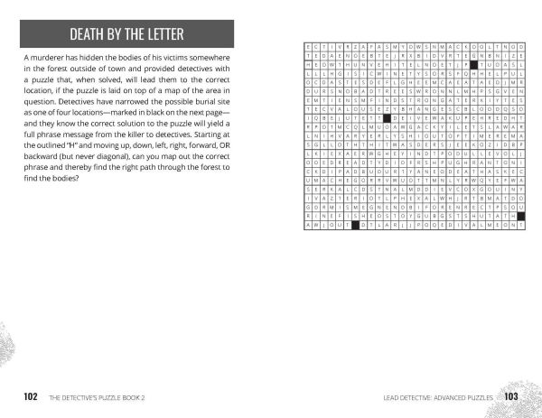 Hunt A Killer: The Detective's Puzzle Book 2: Tricky Ciphers, Mysterious Riddles, and More True Crime-Inspired Logic Games