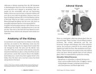 Alternative view 6 of The Healthy Kidney Handbook: A Comprehensive Guide to Manage Hypertension, Control Stress, and Prevent Renal Failure, Kidney Disease, and More