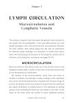 Alternative view 9 of The Lymphatic System Handbook: Proven Lymphatic Drainage Massage Techniques and At-Home Strategies for Reducing Inflammation and Managing Chronic Ailments