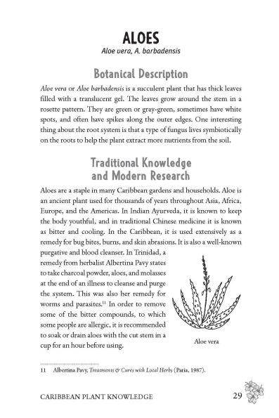 Caribbean Herbalism: Traditional Wisdom and Modern Herbal Healing