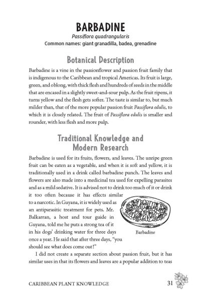 Caribbean Herbalism: Traditional Wisdom and Modern Herbal Healing