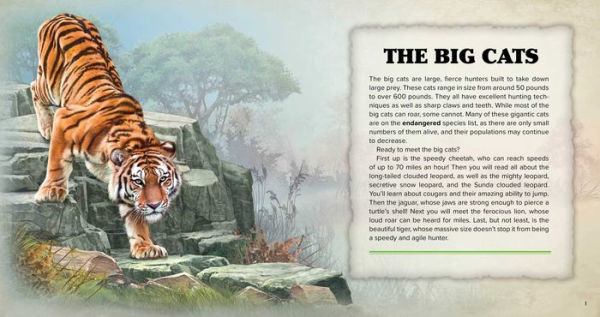 The Big Book of Wild Cats: Fun Animal Facts for Kids