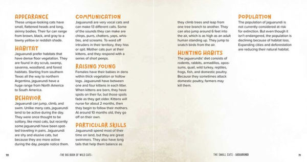 The Big Book of Wild Cats: Fun Animal Facts for Kids
