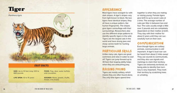The Big Book of Wild Cats: Fun Animal Facts for Kids