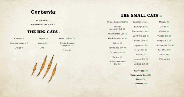 The Big Book of Wild Cats: Fun Animal Facts for Kids
