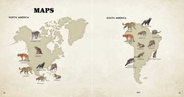 The Big Book of Wild Cats: Fun Animal Facts for Kids