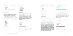 Alternative view 2 of An Introduction to Crystal Grids: Daily Rituals for Your Heart, Health, and Happiness