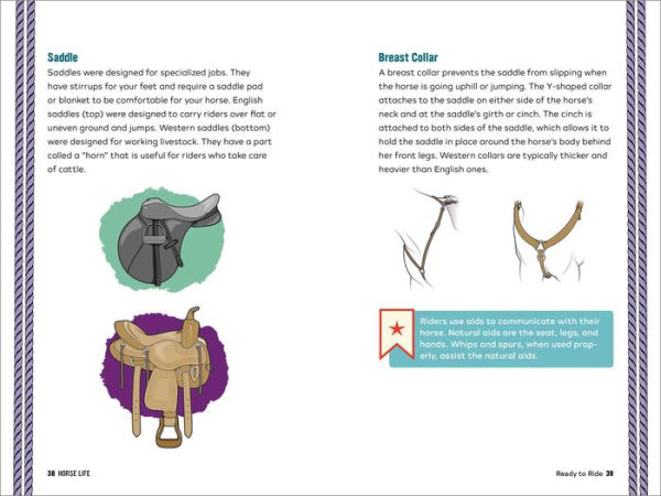 Horse Life: The Ultimate Guide to Caring for and Riding Horses for Kids