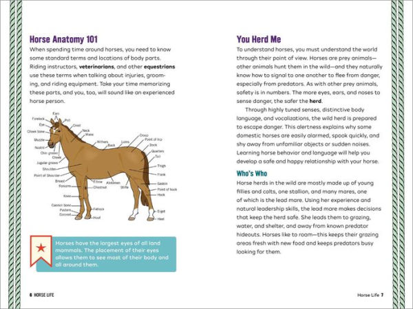 Horse Life: The Ultimate Guide to Caring for and Riding Horses for Kids