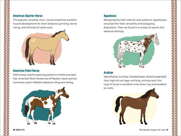 Types of Horse Clips: A Comprehensive Guide