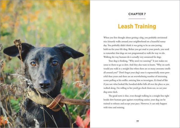 Easy Dog Training: Everything You Need to Know to Raise a Happy Pet