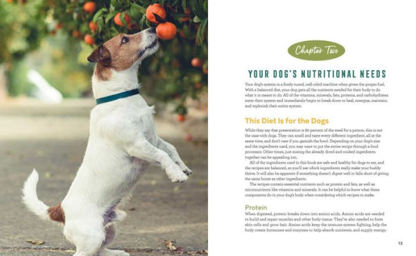 Easy Dog Food Recipes: 60 Healthy Dishes to Feed Your Pet Safely