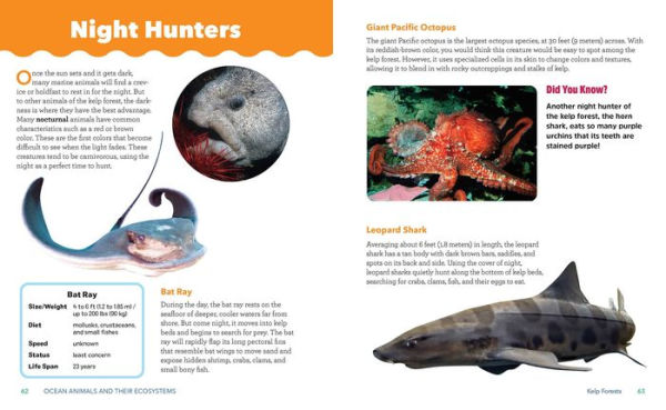 Ocean Animals and Their Ecosystems: A Nature Reference Book for Kids