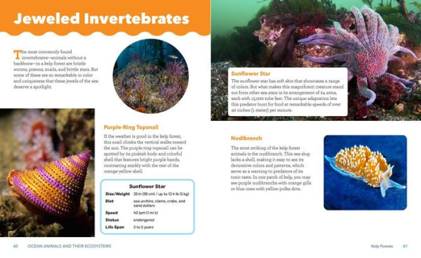 Ocean Animals and Their Ecosystems: A Nature Reference Book for Kids