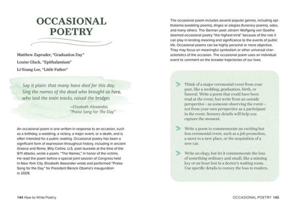 How to Write Poetry: A Guided Journal with Prompts