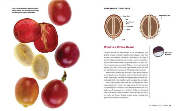 Coffee Roaster's Handbook: A How-To Guide for Home and Professional Roasters
