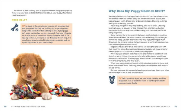 Ultimate Puppy Training for Kids: A Step-by-Step Guide Exercises and Tricks