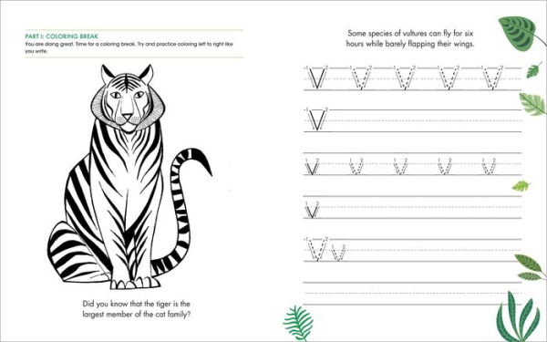 The Print Penmanship Workbook for Kids: Improve Your Handwriting with Fun Animal Facts