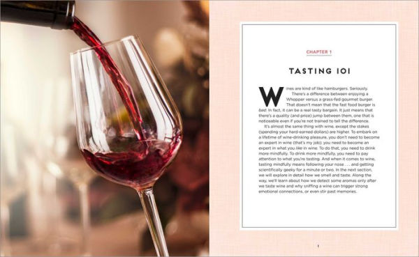 Wine Taster's Guide: Drink and Learn with 30 Tastings