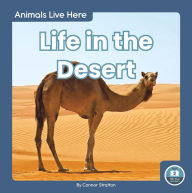 Title: Life in the Desert, Author: Connor Stratton