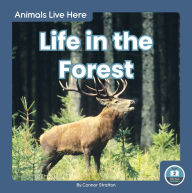 Title: Life in the Forest, Author: Connor Stratton