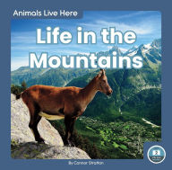 Title: Life in the Mountains, Author: Connor Stratton