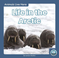 Title: Life in the Arctic, Author: Connor Stratton