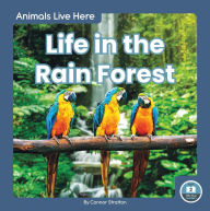 Title: Life in the Rain Forest, Author: Connor Stratton