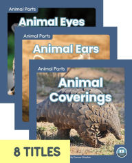 Title: Animal Parts (Set of 8), Author: Connor Stratton