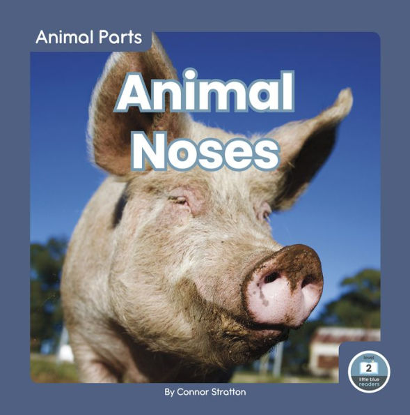 Animal Noses