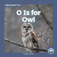 Title: O Is for Owl, Author: Meg Gaertner