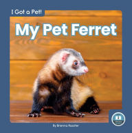 Title: My Pet Ferret, Author: Brienna Rossiter