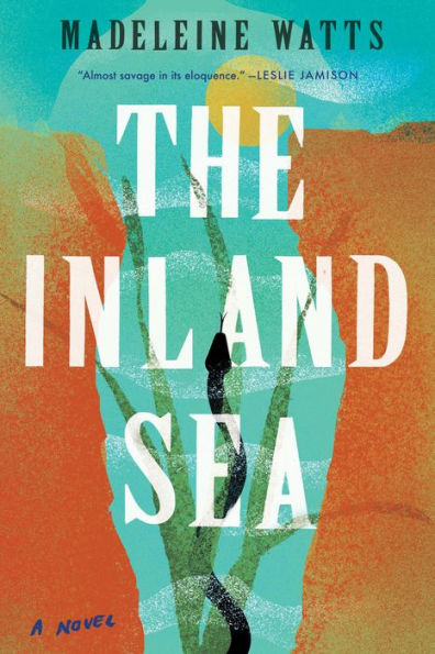 The Inland Sea: A Novel
